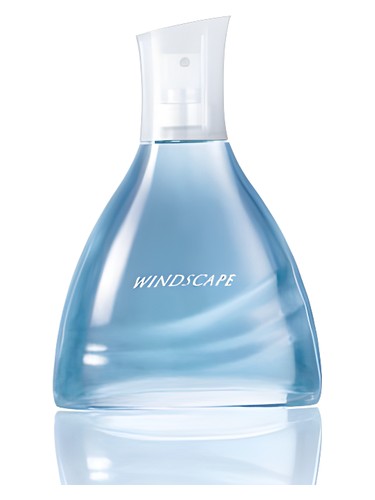 Avon Windscape for Him fragrance bottle