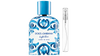 Dolce & Gabbana Light Blue Capri In Love - Chaos Fragrances