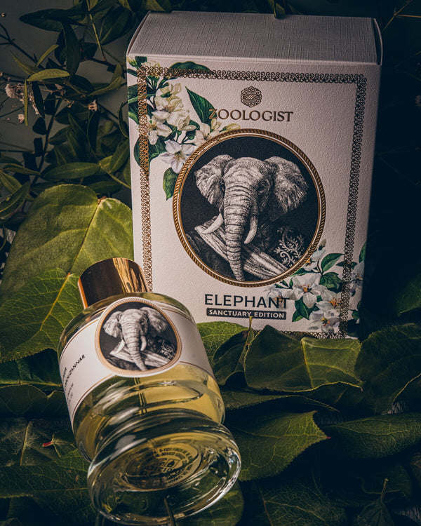 Zoologist Elephant Sanctuary Edition