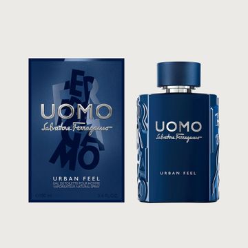 Ferragamo Uomo Urban Feel Eau de Toilette 100 ml bottle and box