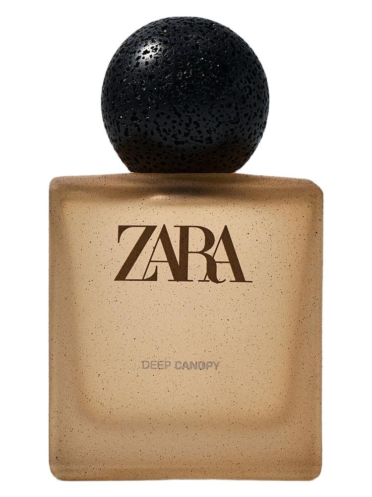 Zara Deep Canopy 2026 fragrance bottle