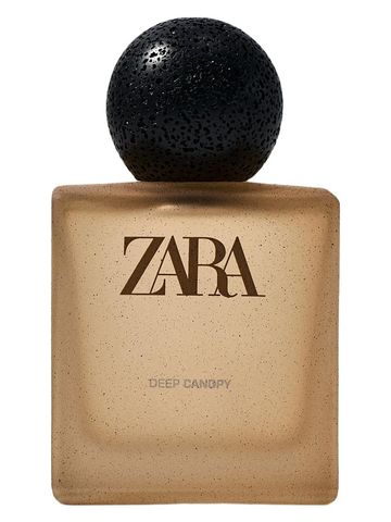 Zara Deep Canopy 2026 fragrance bottle