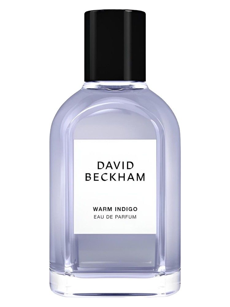 David Beckham Warm Indigo 2026 fragrance bottle