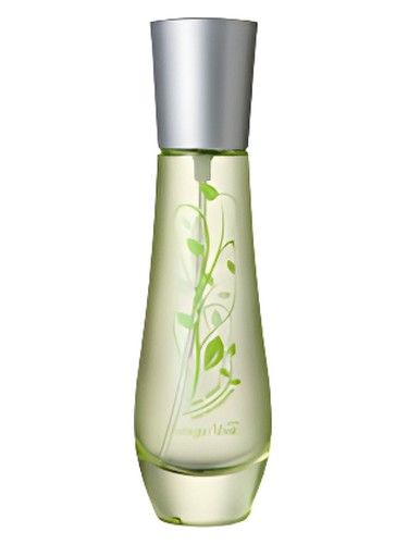 Bottega Verde The Verde fragrance bottle