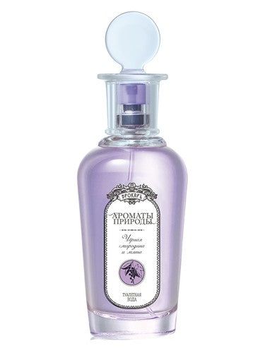 Brocard Черная смородина и мята - Black currant and Mint fragrance bottle