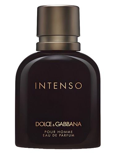 Dolce Gabbana Dolce&Gabbana Pour Homme Intenso fragrance bottle