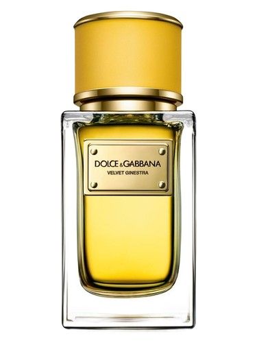 Dolce Gabbana Velvet Ginestra fragrance bottle