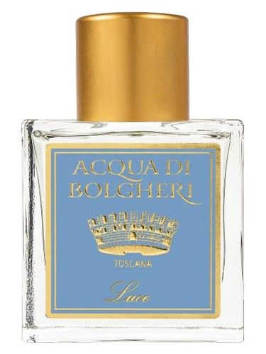 Dr. Taffi Luce fragrance bottle