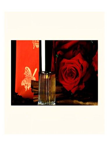 DSH Perfumes Poivre fragrance bottle