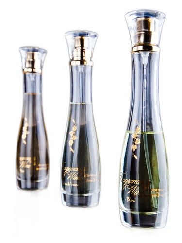 Fragrances of Wine Blanc fragrance bottle