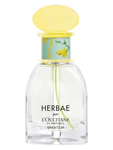 L Occitane en Provence Herbae Spartium fragrance bottle