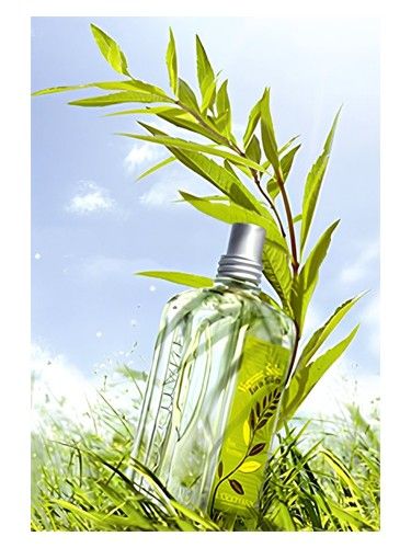 L Occitane en Provence Verbena Sun fragrance bottle