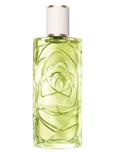 Lancôme Ôff Now fragrance bottle