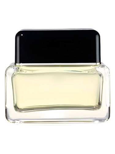 Marc Jacobs Marc Jacobs Men fragrance bottle