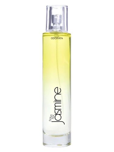 Odorata Flor em Flor Jasmine fragrance bottle