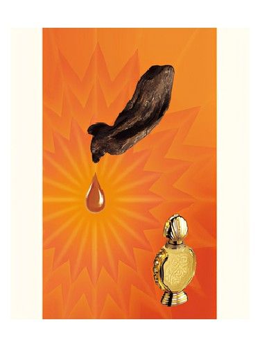 Rasasi Shatha Al Oudh fragrance bottle