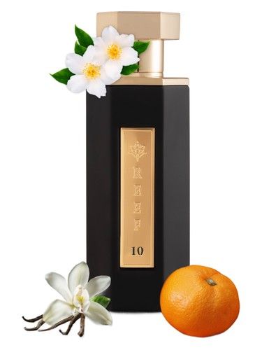 Reef Perfumes Reef 10 fragrance bottle