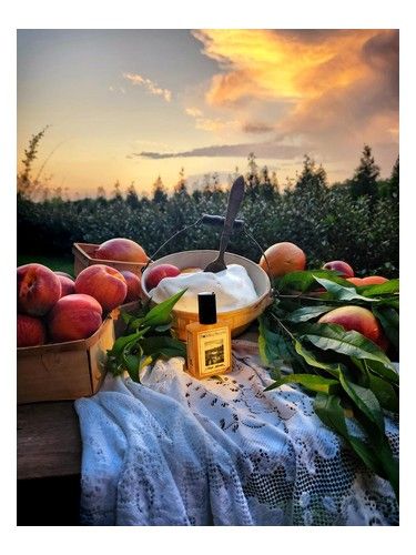 Solstice Scents Iced Nectar fragrance bottle