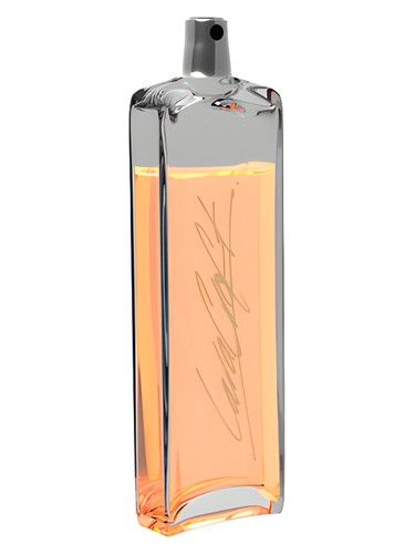 Tomb Raider Lara Croft fragrance bottle