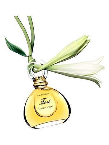 Van Cleef Arpels First Jasmin de Chine fragrance bottle