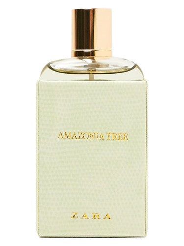 Zara Amazonia Tree fragrance bottle